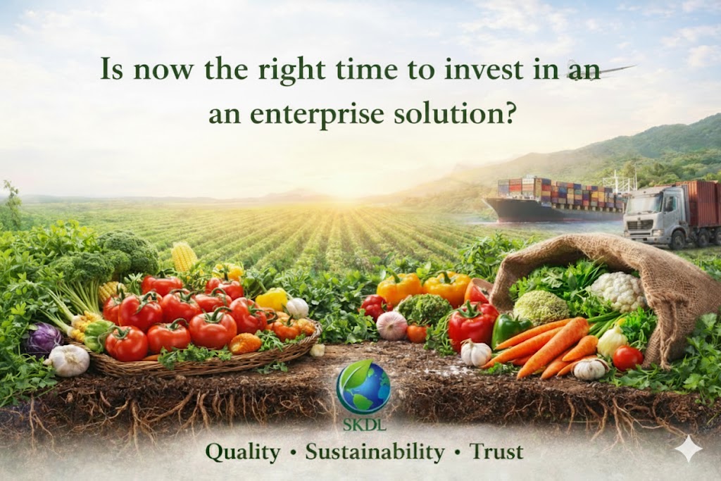 Is now the right time to invest in an enterprise solution?